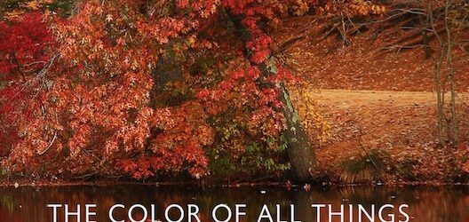 The Color of All Things